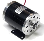 36V 800W 3000 RPM