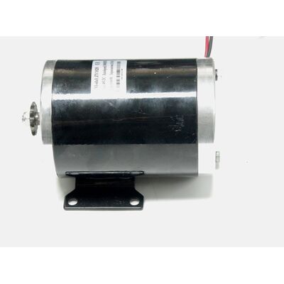 36v 800W dc motor