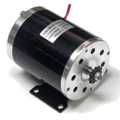 36V 800W 3000 RPM